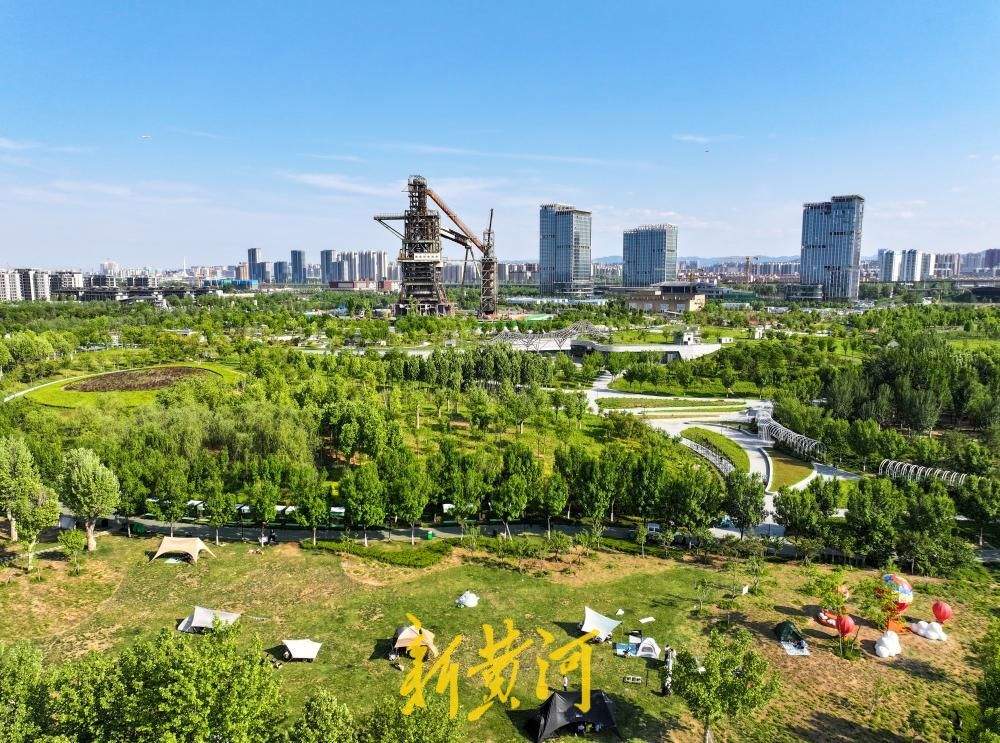 城市里的治愈系！“五一”假期来中央森林公园露营吧