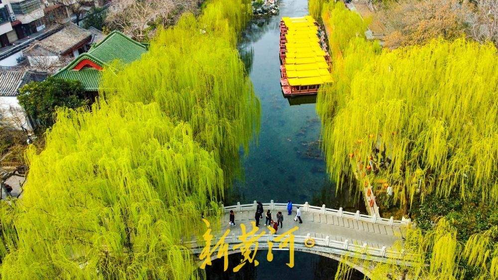 春雨润泉城，环城公园披绿绘就“绿丝带”画卷