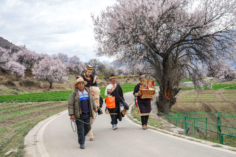 镜观·回响|擦亮兴边富民的“桃花村”品牌