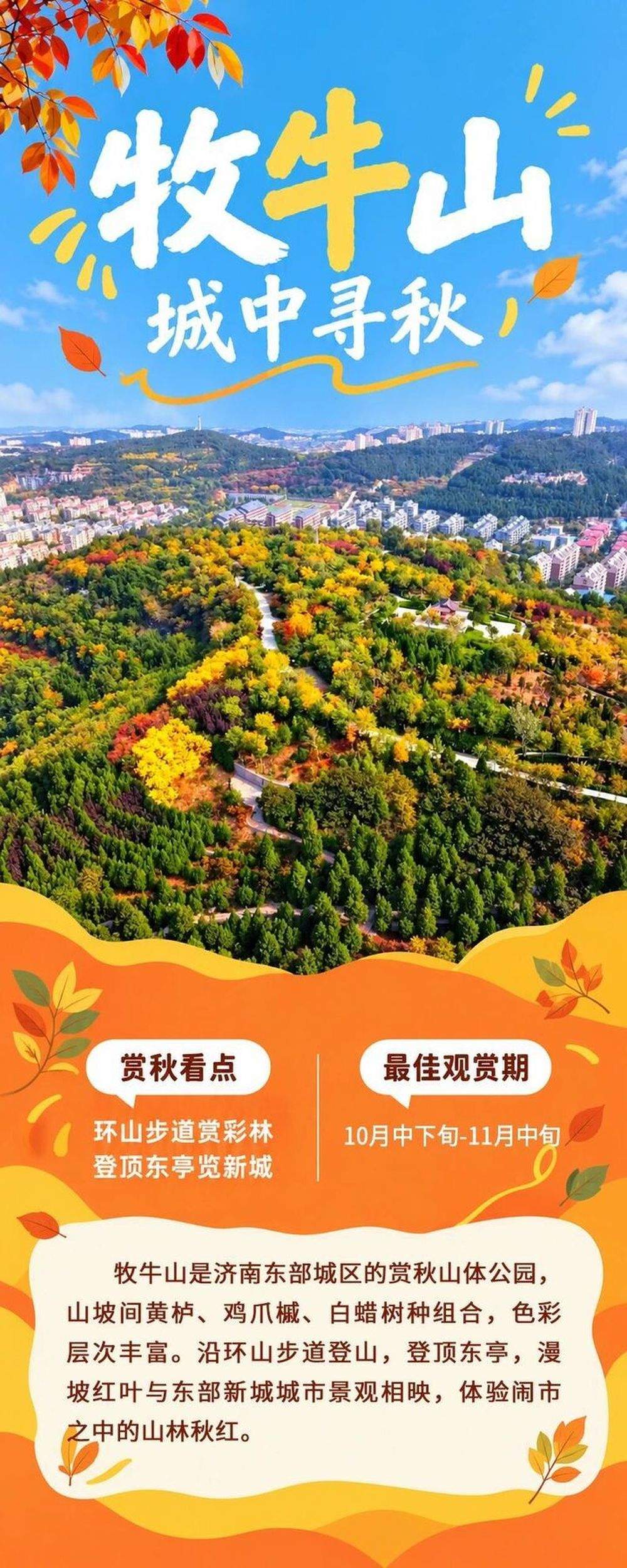 现在出发正当时！泉城红叶迎来最佳观赏期