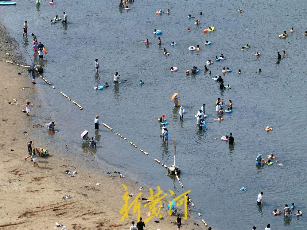 泉城中伏迎高温 济南市民小型湿地里戏水消夏