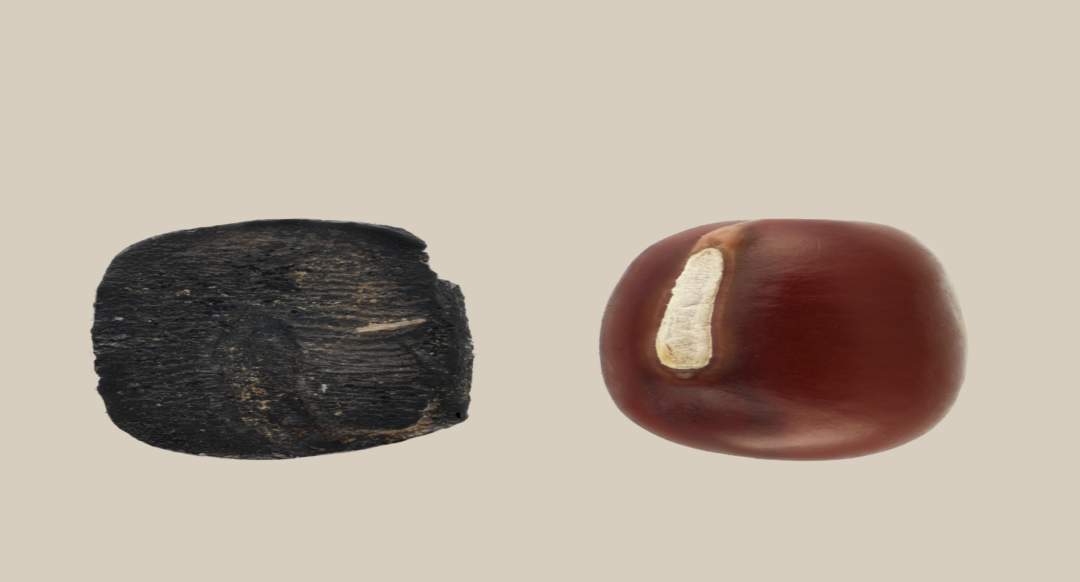 山东2项成果入选2025年度国内、国际十大考古新闻