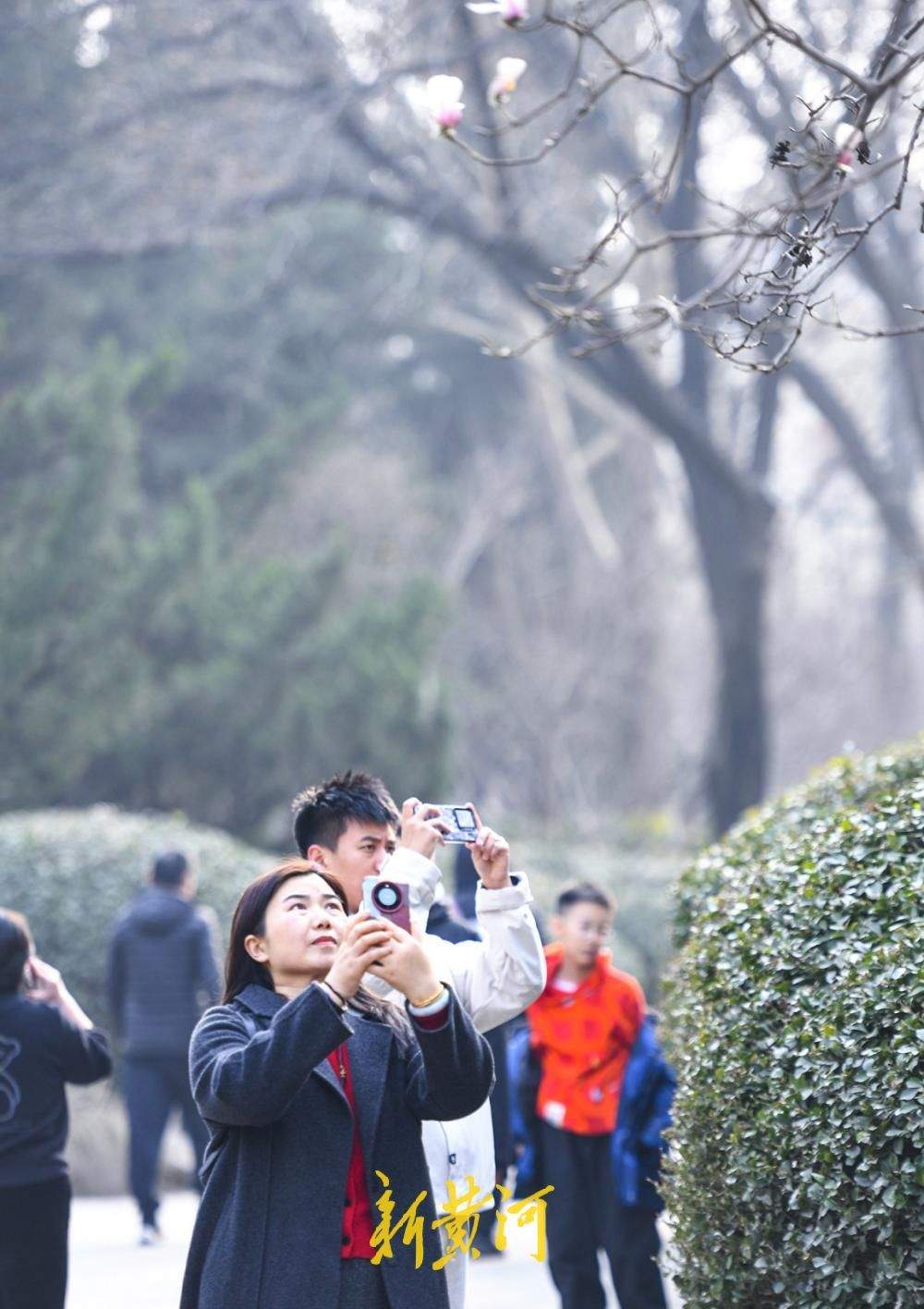 繁花即将上线！济南百花公园玉兰大道3月将迎最佳观赏期