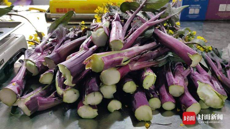 吃了能成仙？两根菜薹喊价18888元！商家回应