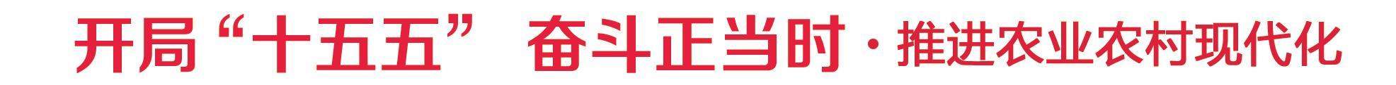 我省实施村集体和农民收入“双增计划” 村里家底厚起来，农民钱袋鼓起来