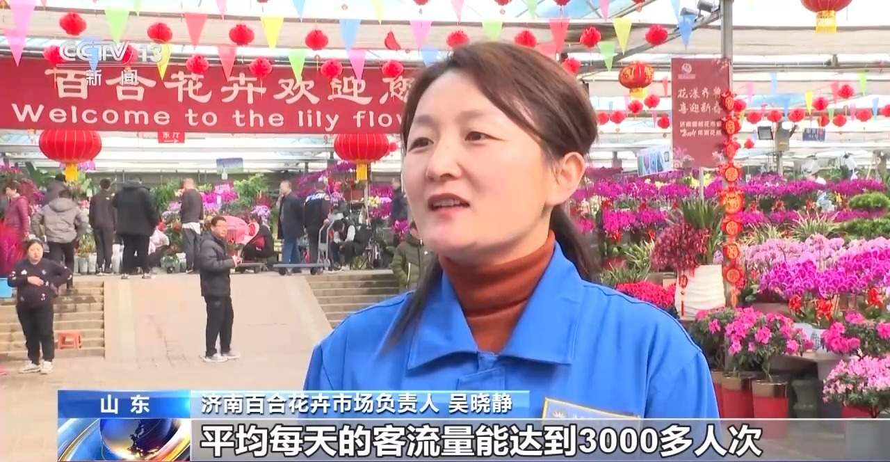 春节临近年宵花畅销！南北方偏好有不同 你选了哪一种?