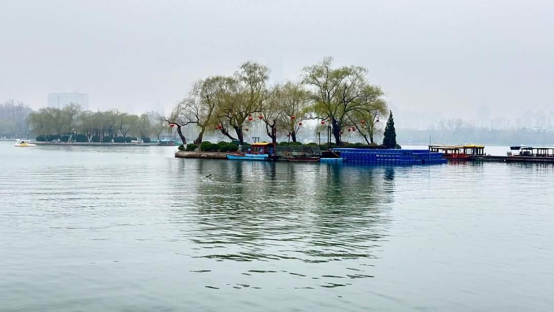 清风柳绿，春到大明湖