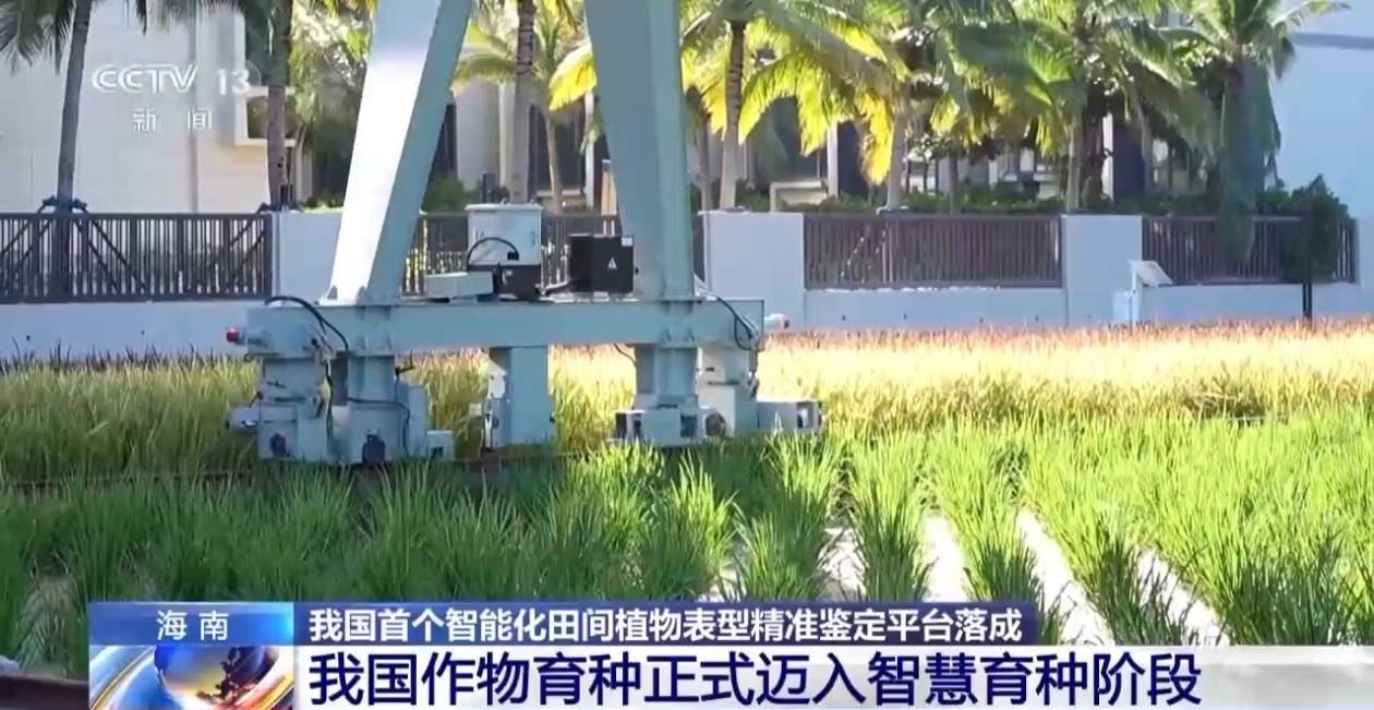 我国首个智能化田间植物表型精准鉴定平台在海南落成