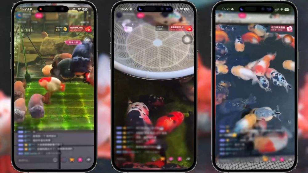 新华视点|2026开局暖人心:消费旺 服务优 基建稳