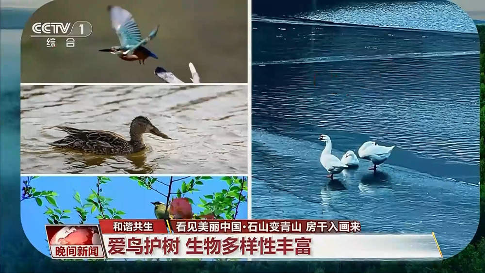 央视点赞山东济南：石山变青山 房干入画来