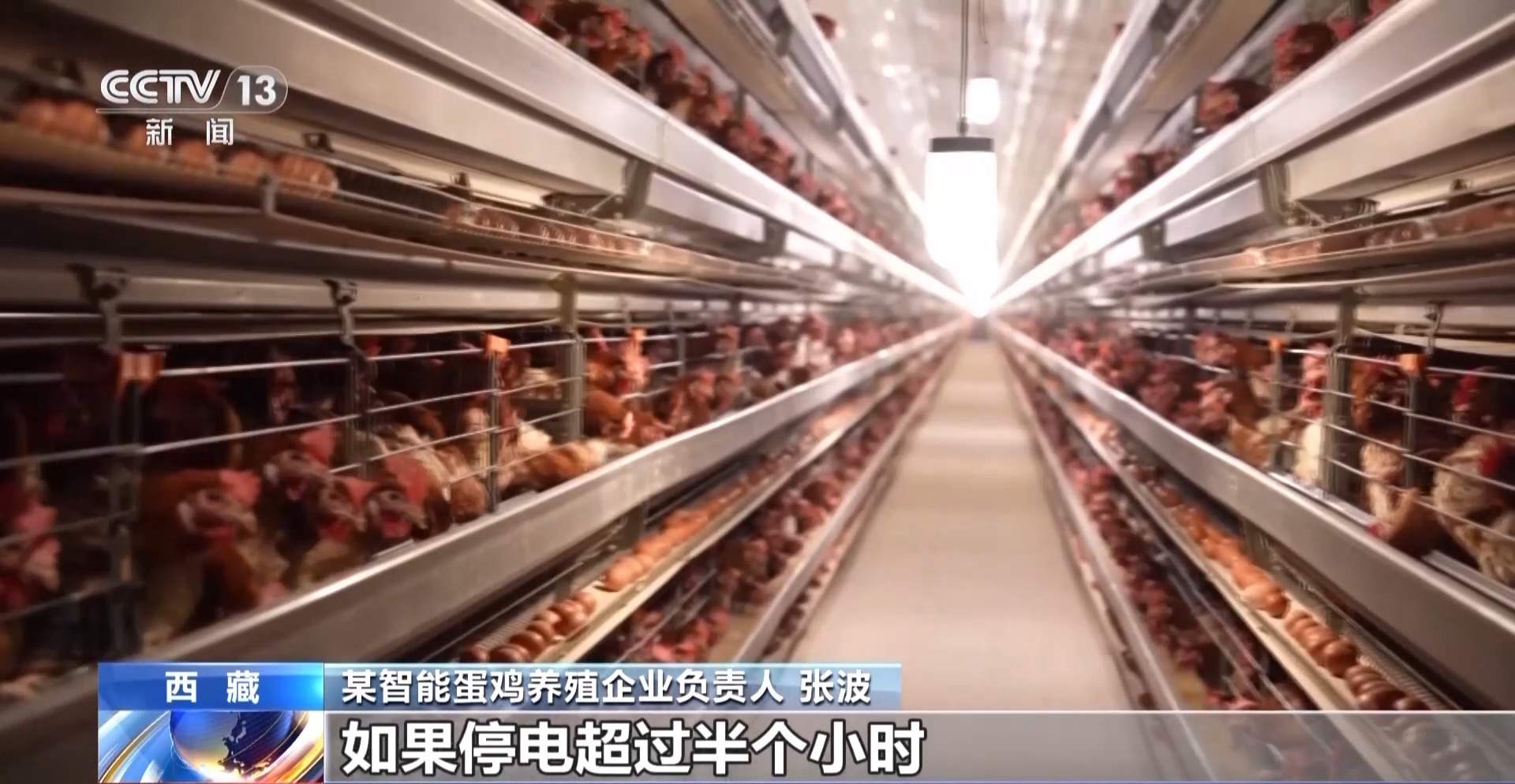 从“用上电”到“用好电” 这条“电力天路”点亮世界屋脊