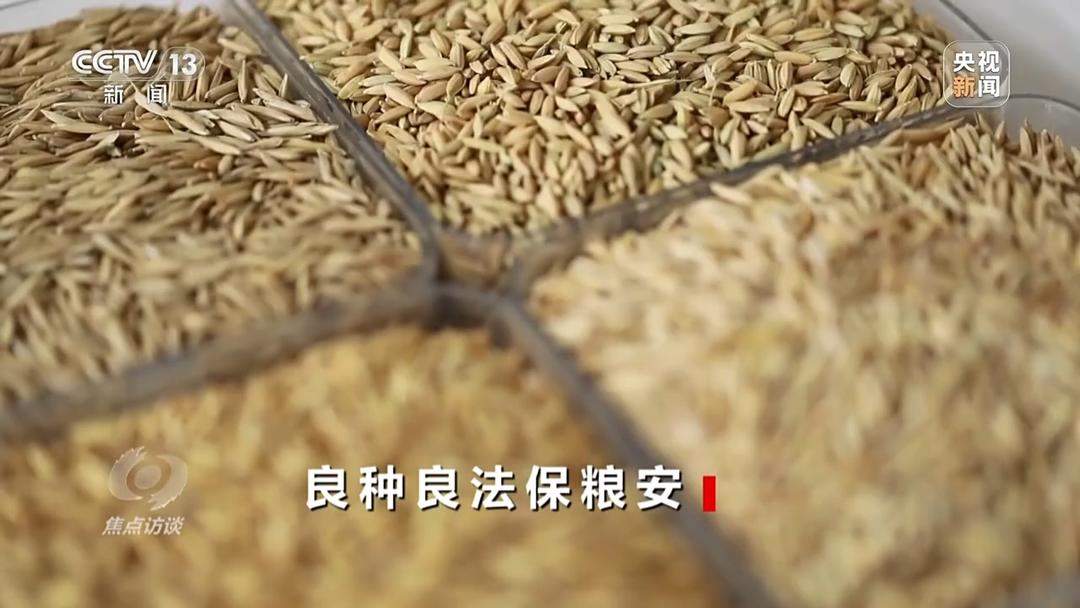 良田+良种+良机+良法 来看山东保丰收秘籍