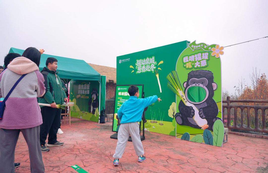 山东“明猩”开启冬季大葱盛宴