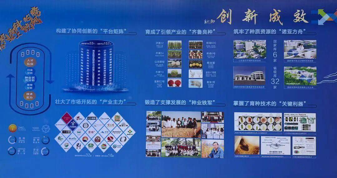 2100余个新品种!创新30年,山东主要农作物良种覆盖率98%以上