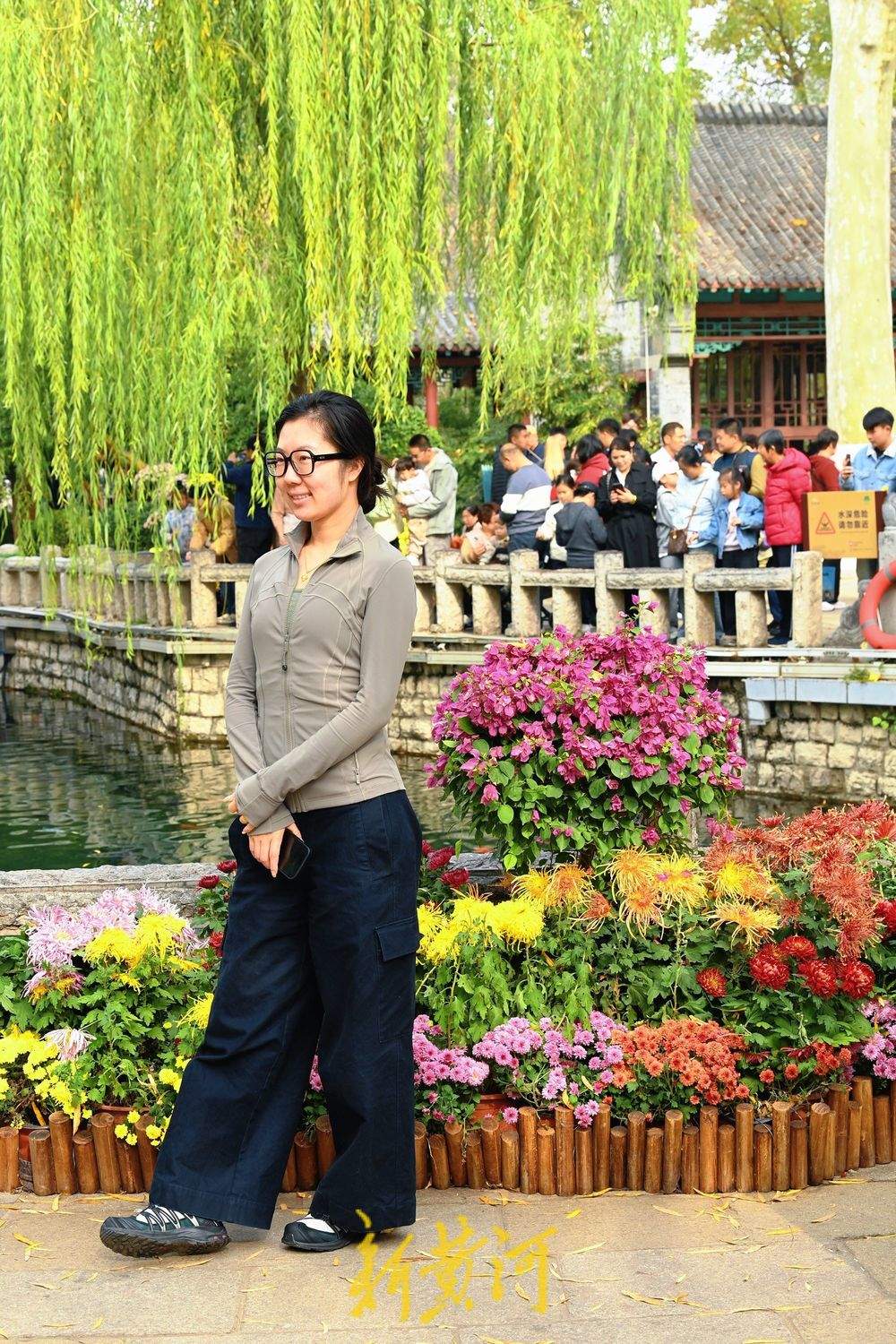 多彩菊花绽放趵突泉畔，扮靓初冬泉城