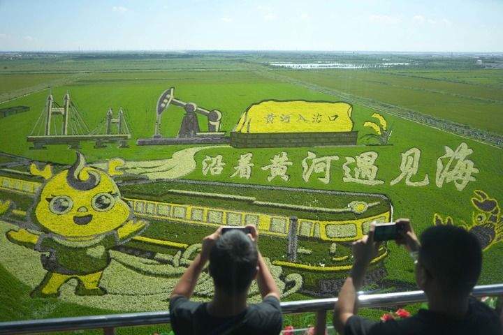 大河奔腾气象新——山东落实黄河重大国家战略实践观察