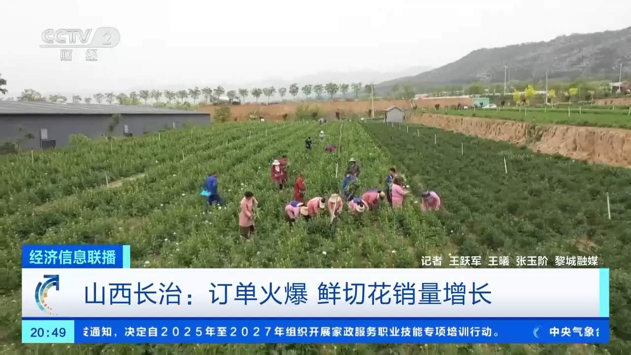 康乃馨、芍药热卖 母亲节多地鲜花销售火爆