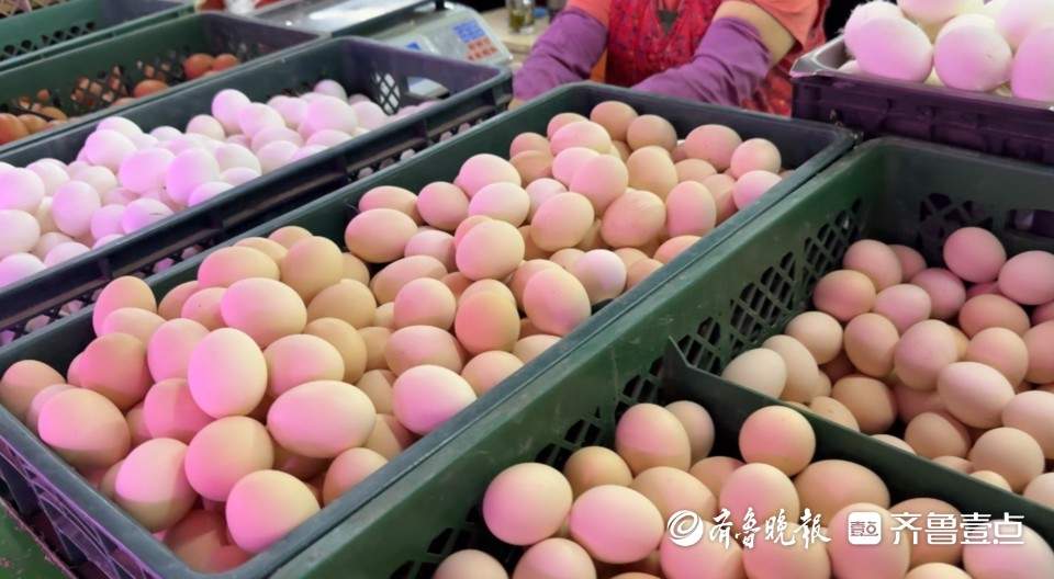 一斤3元左右，济南鸡蛋价格“跳水”，跌至五年来新低