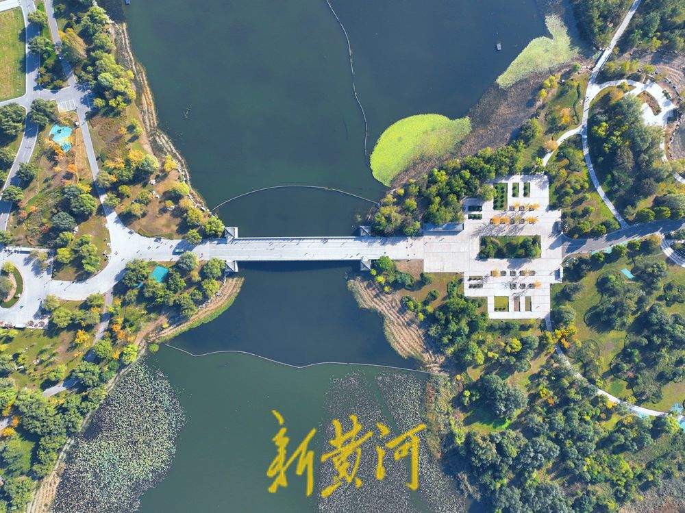 华山湖畔秋韵浓，再现《鹊华秋色图》绝美画卷