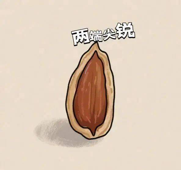 好吃却可能惹出大麻烦 警惕粽子里的“隐形刺客”