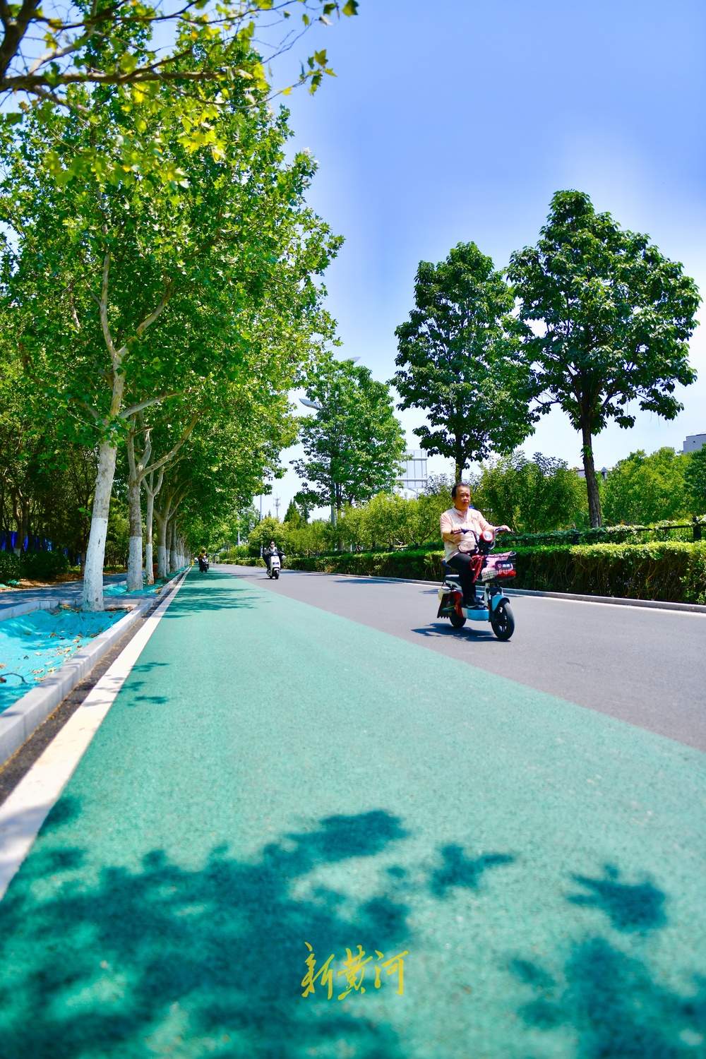 济南工业南路细节提升改造，突出生态环保荷元素主题