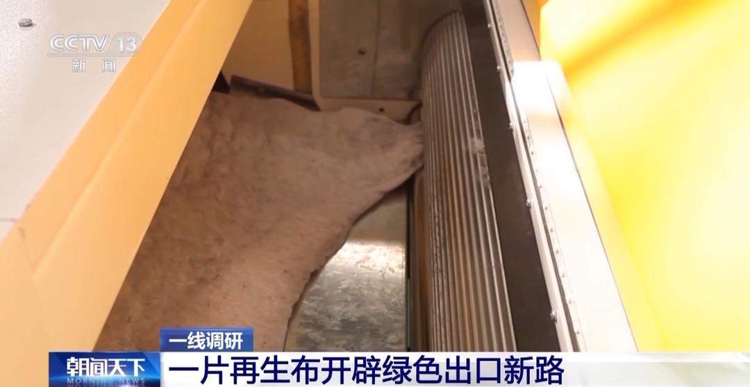 一块蜡布“爆单”海外市场,看山东纱线“织”出无限可能