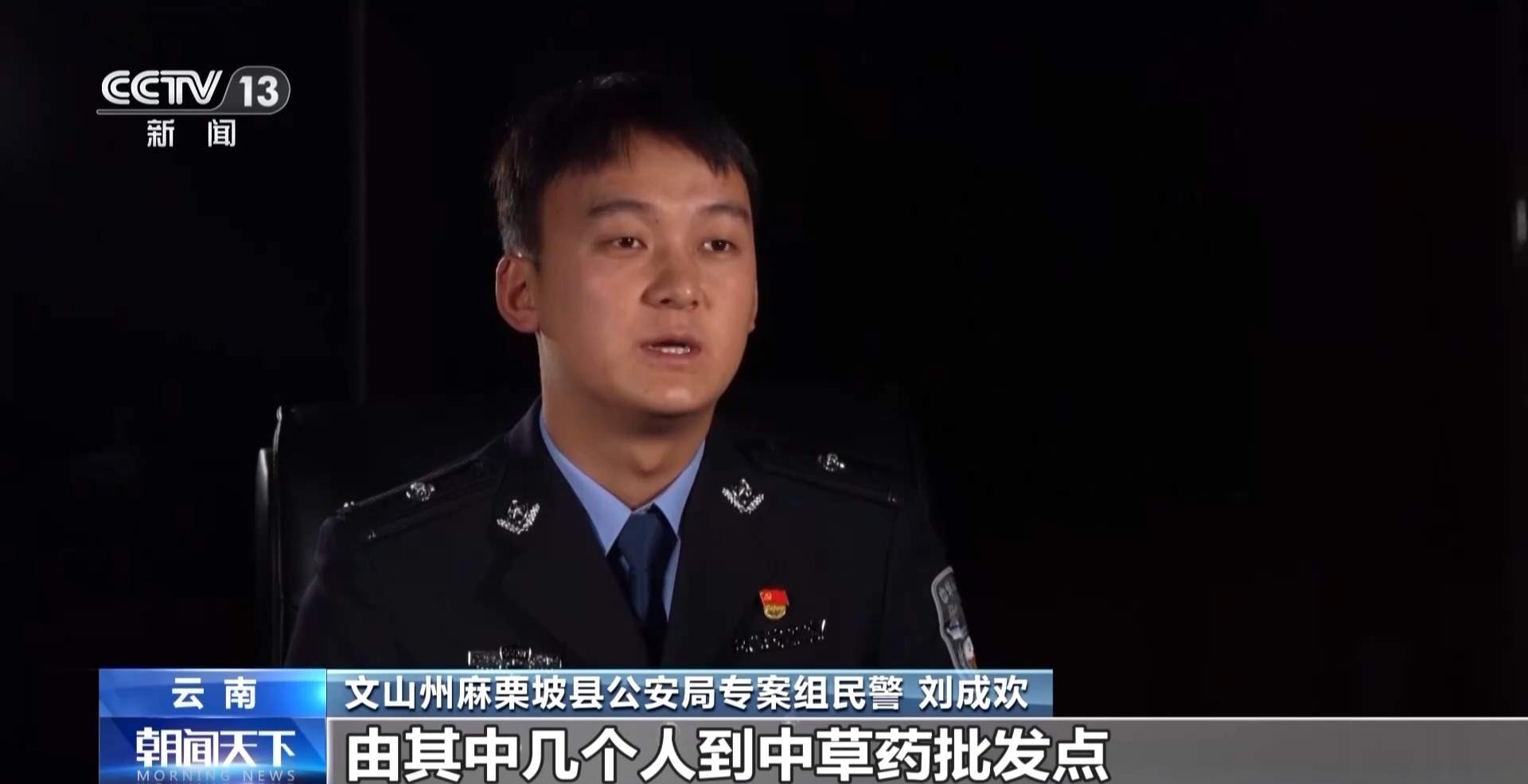 给廉价草药起名“黑虫草”“海底椰”高价卖 一诈骗团伙落网