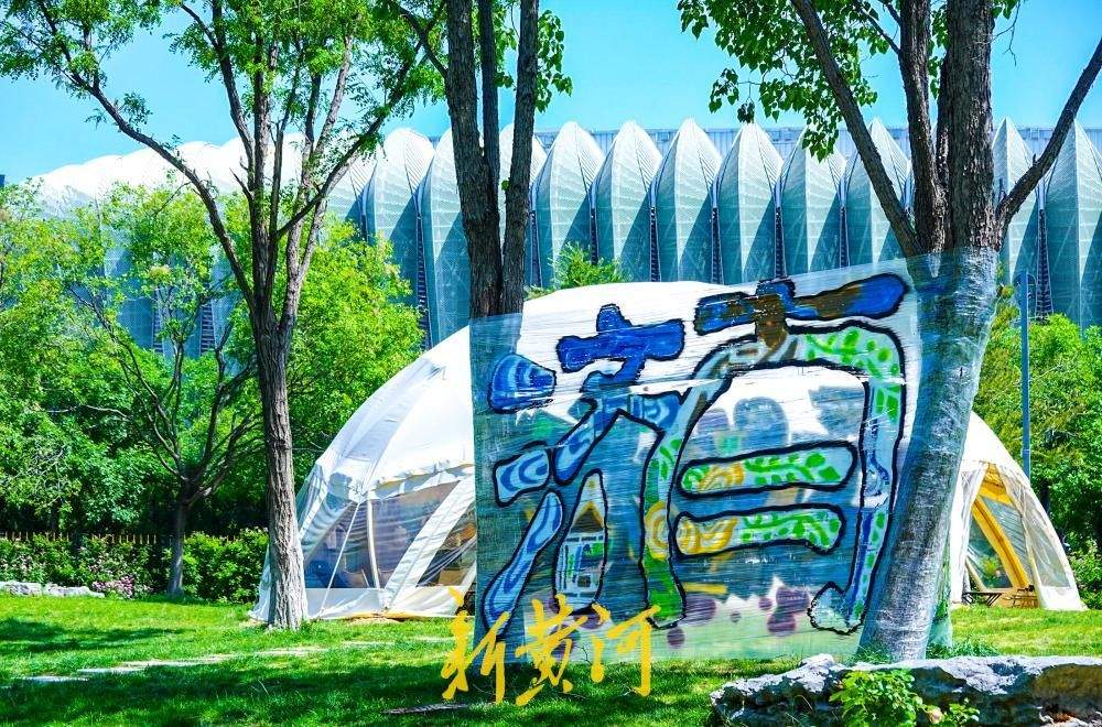 奥体“森”呼吸 草坪“躺”着玩 济南奥体大草坪成休闲新热门