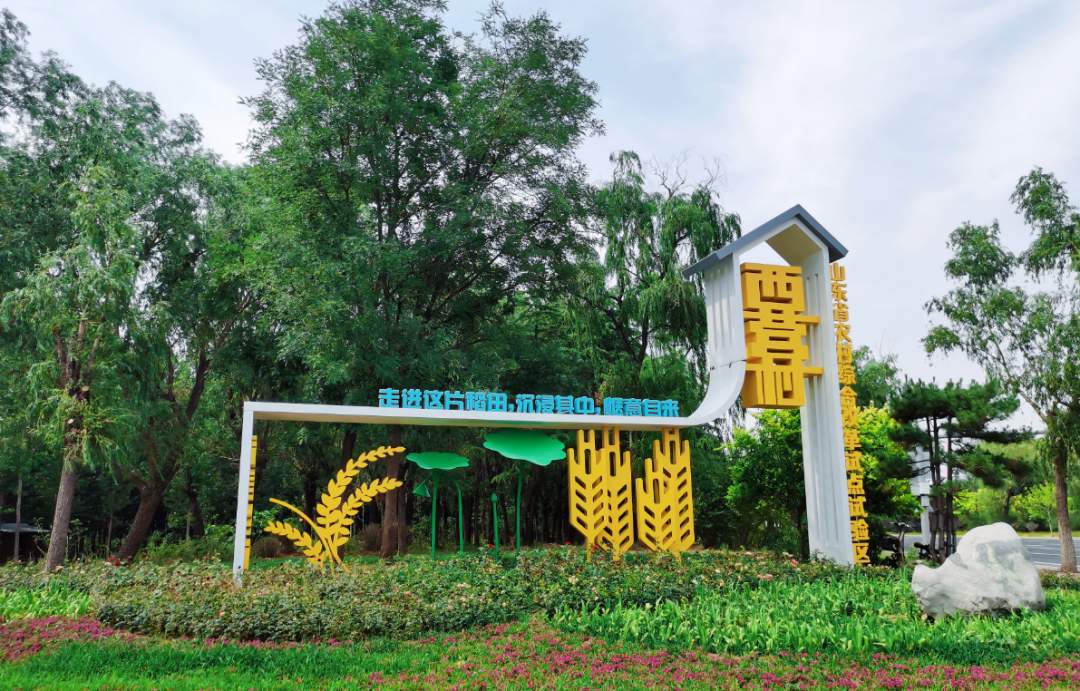 这场盛宴,千般“丰”味