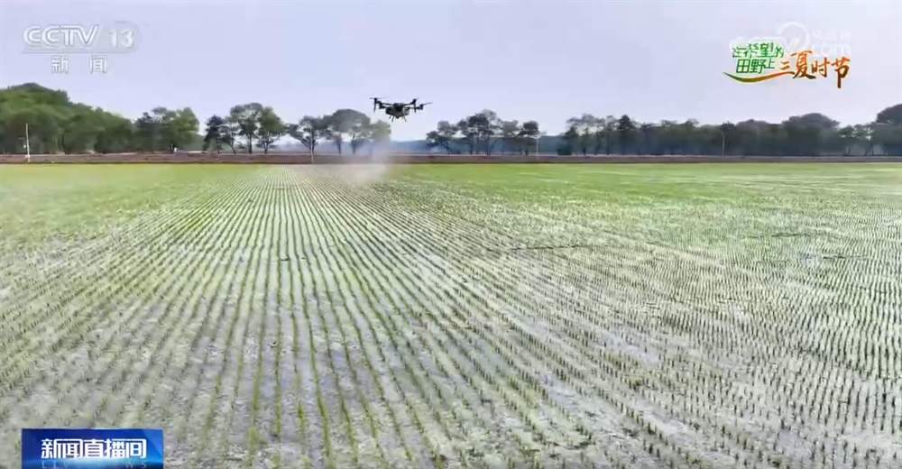 希望的田野智“绘”好“丰”景 “三夏”生产向“新”而行