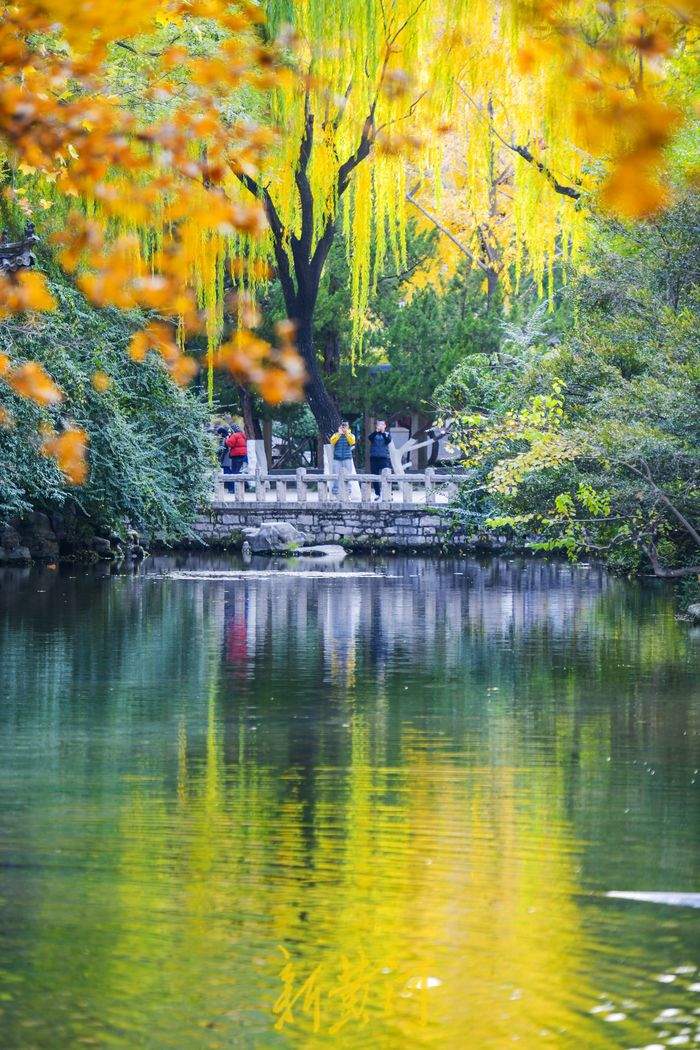 “泉”在济南过大年｜来泉城过年的理由很多，打动你的是哪个？