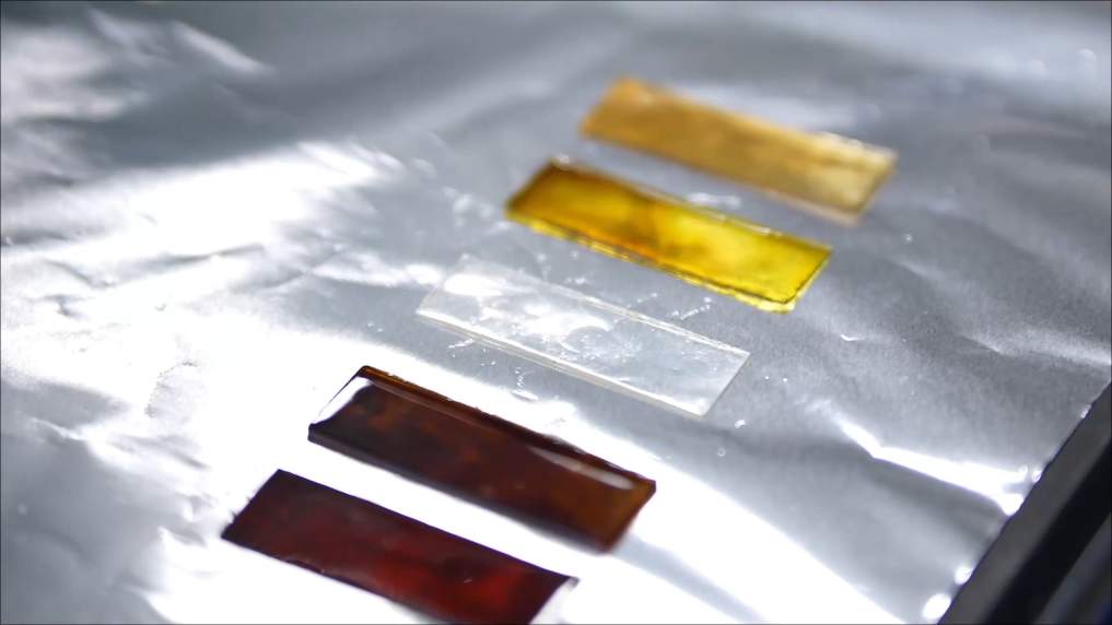 向上2026：一月经济观察 聚新动能向未来