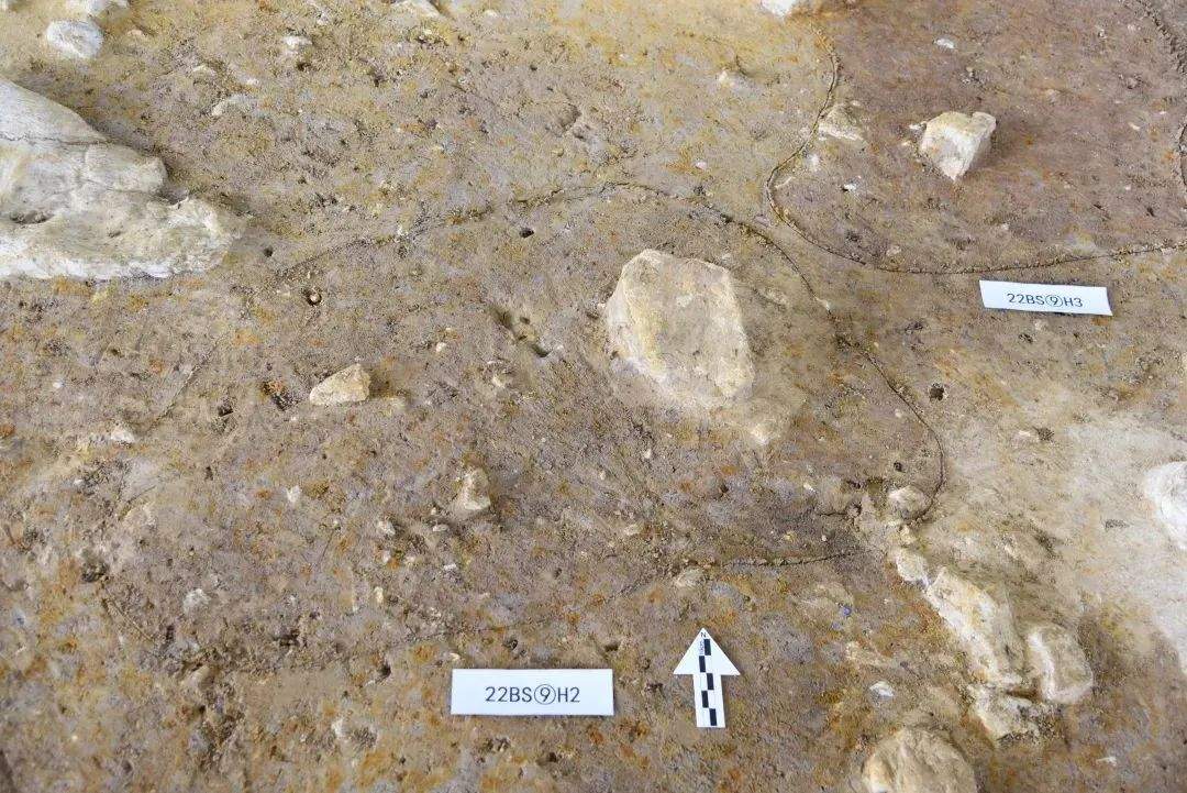 山东沂水跋山遗址群入选！2023年度全国十大考古新发现公布