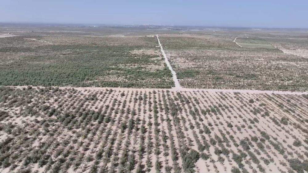 新华视点｜山河新貌：多地实践探索绿色发展