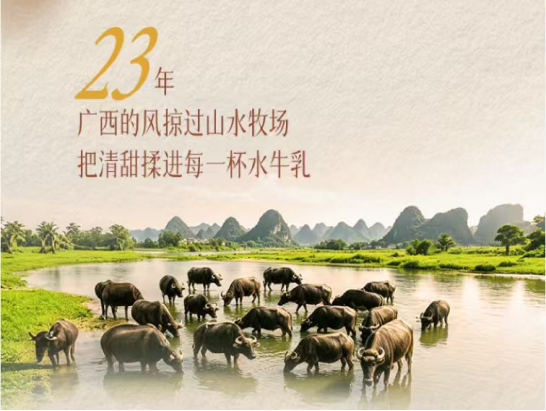 时光淬炼23年|百菲乳业:以匠心奶源,做国民好水牛奶