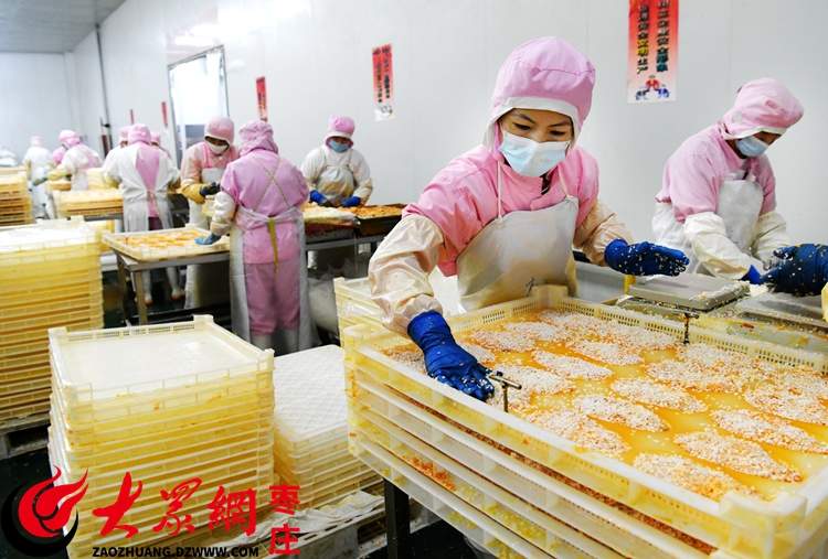 从白羽鸡牧场到硬核车间，在采风一线触摸枣庄“数智焕新 绿动未来”的脉搏