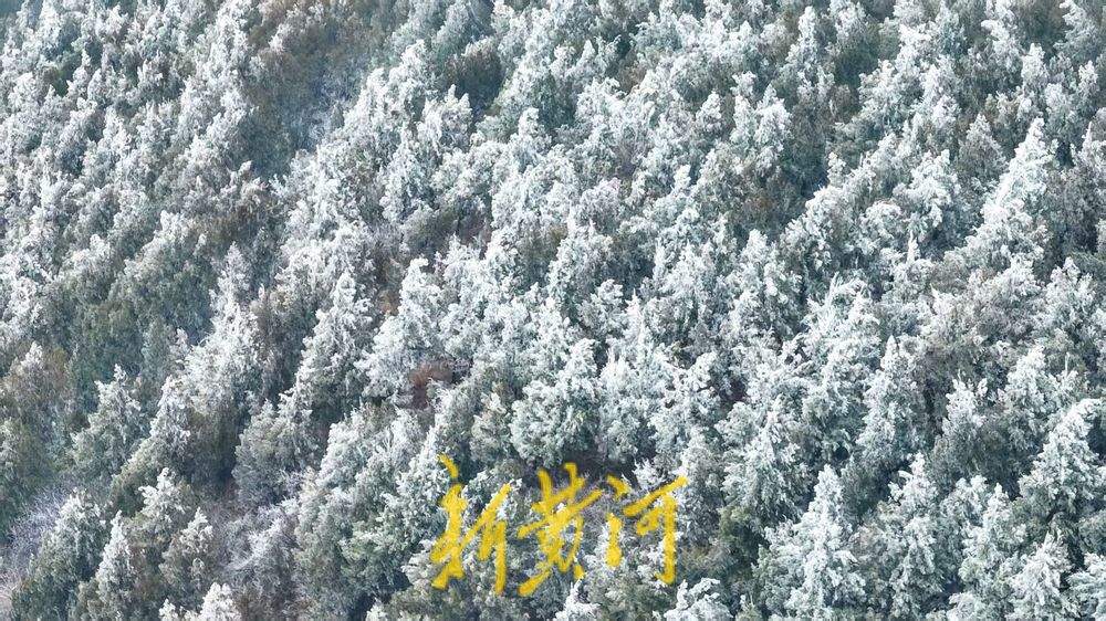 【网络中国节·春节】“泉”在济南过大年｜佛慧山银装素裹，山顶呈现雾凇奇观