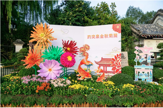 从观赏到体验：菊花雅集里的泉城秋味