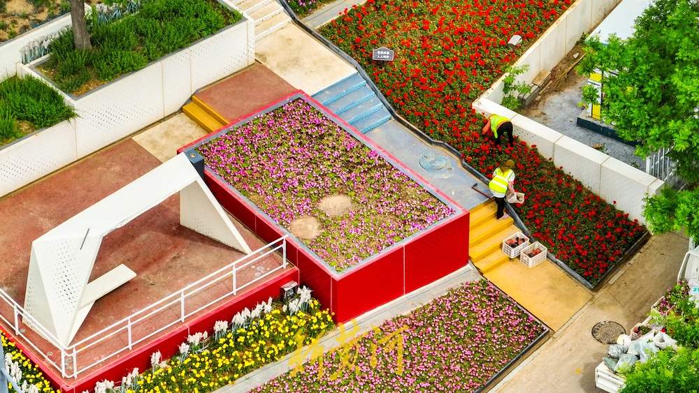 济南这处七彩花田换新装，色彩“拼盘”打造美学空间 