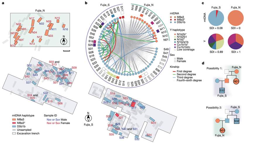 山东2项成果入选2025年度国内、国际十大考古新闻