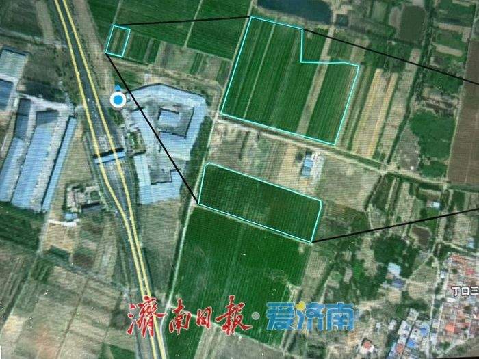 济南夏粮播种面积有多少？他们与卫星“较劲”一周摸清底数