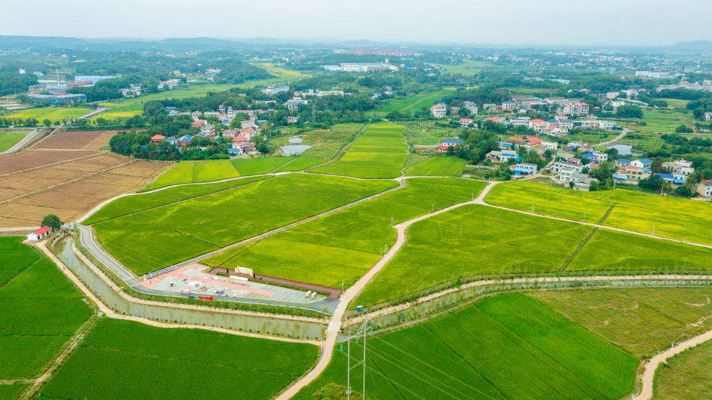 四中全会精神在基层