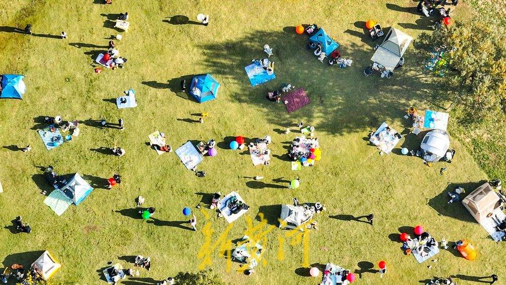 泉城深秋暖意浓，森林公园变身市民“诗意栖居地”