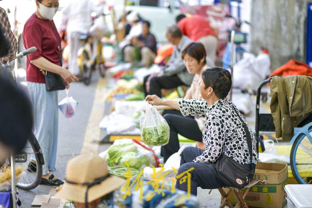 夏季水果“出山进城” 市区里的南山市集火起来
