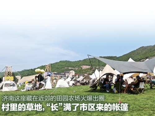 村里的草地，“长”满了市区来的帐篷