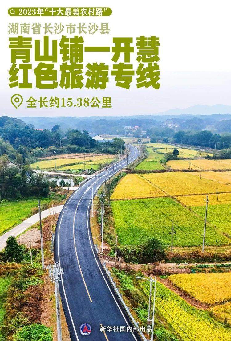 年度“十大最美农村路”！山东莱阳市莱高线上榜