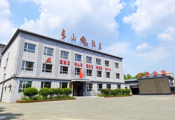 “七一勋章”获得者吴亚琴，中国基层之治的答卷人