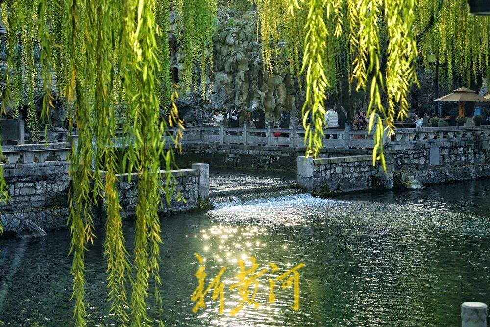 济南黑虎泉初冬“撒欢儿” 水位比去年同期高1.62米