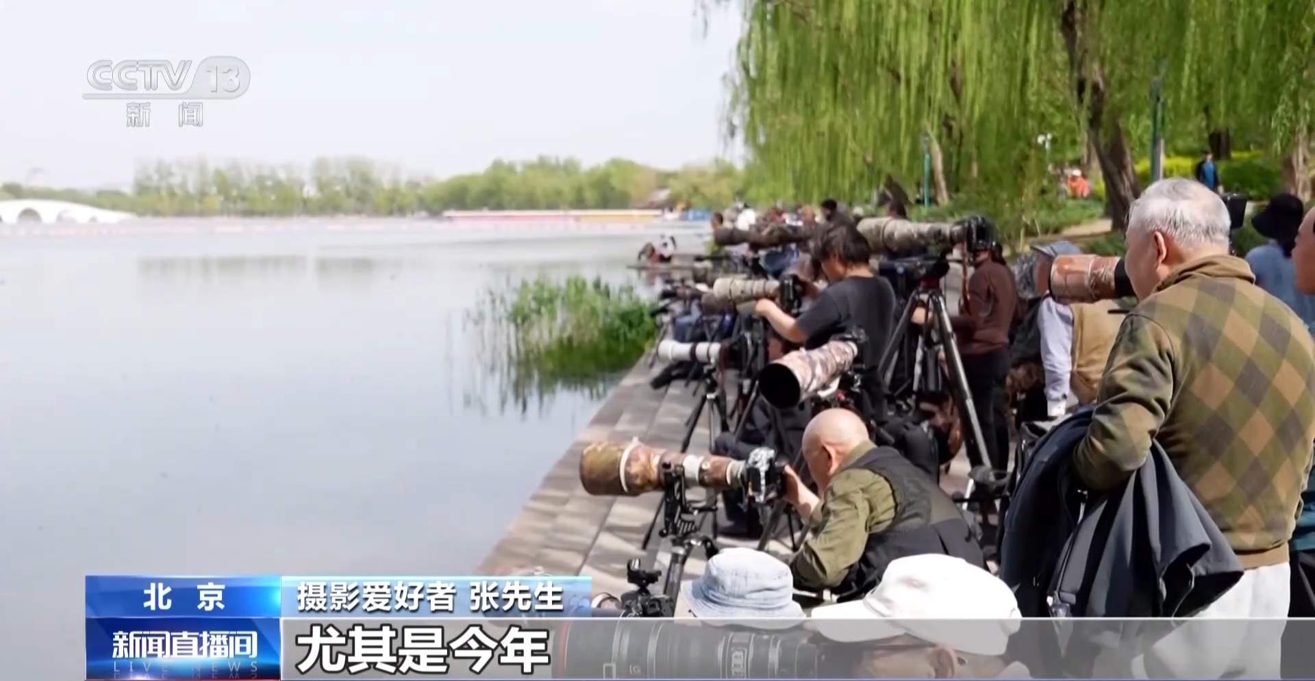 公园长满“打鸟”大爷 银发一族助力小城“观鸟经济”