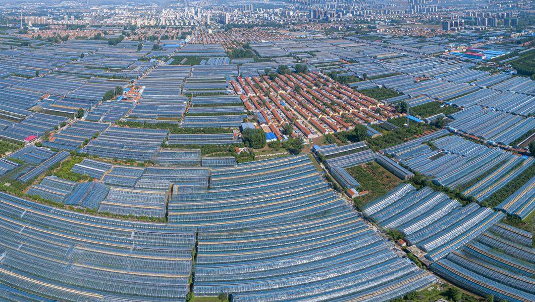 产业联合，结对发展！临朐从“一村富”迈向“村村富”